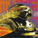 THUNDER EXPRESS Skydog Records